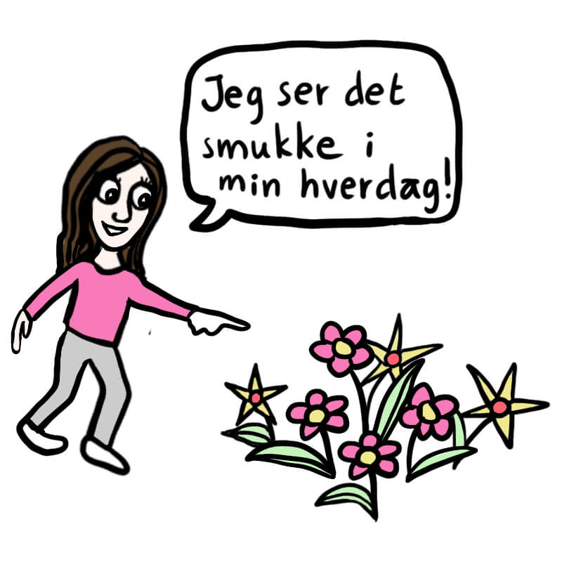 Det smukke